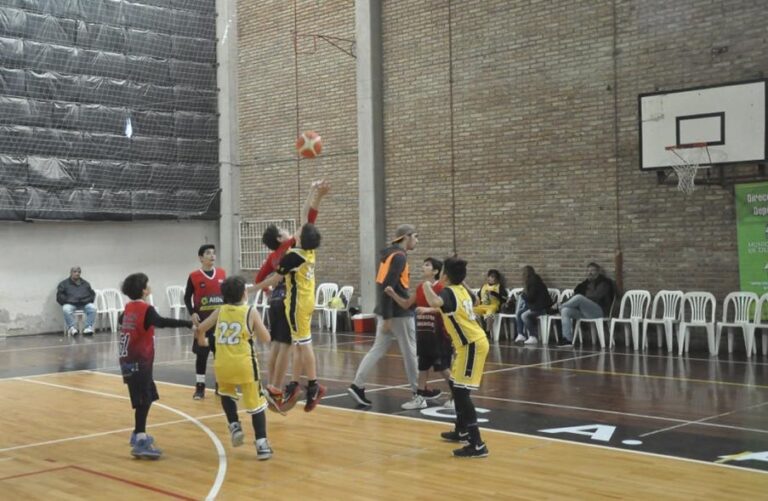 mini basquet 24