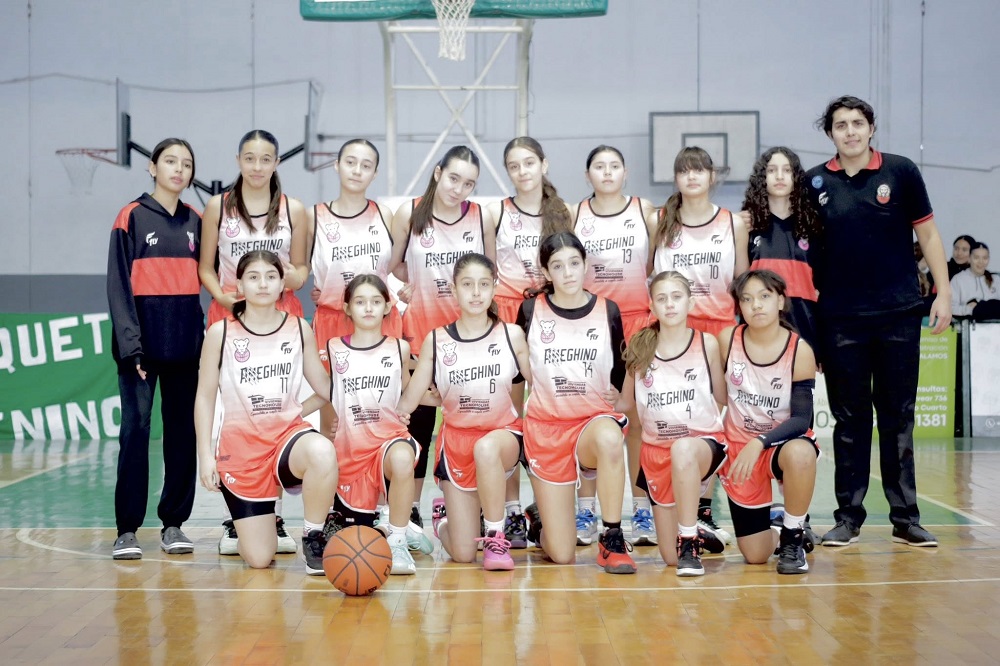 ameghinou13