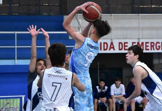 palito u15